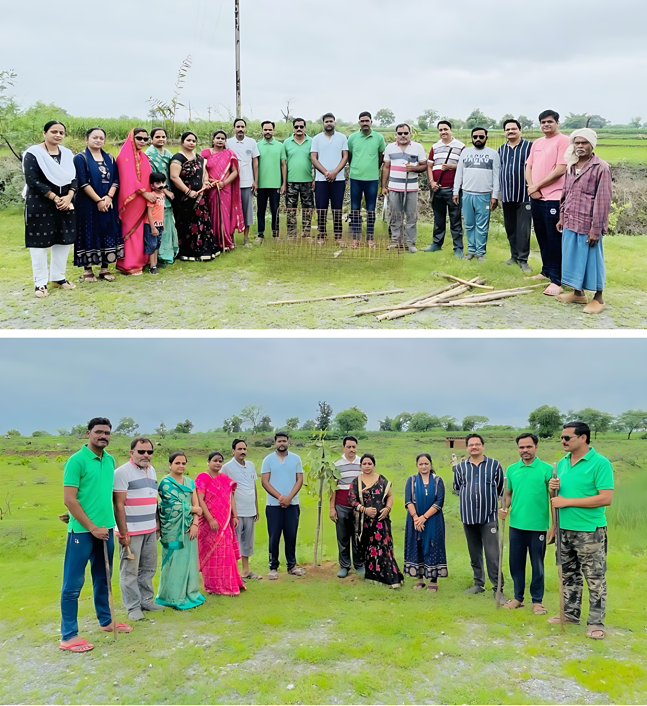 Environmental Campaigns